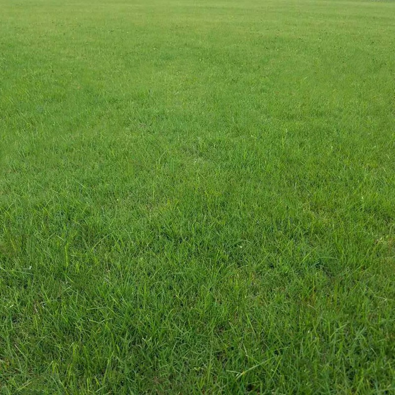 1647537654496100.jpg